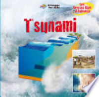 Bencana alam di Indonesia : tsunami